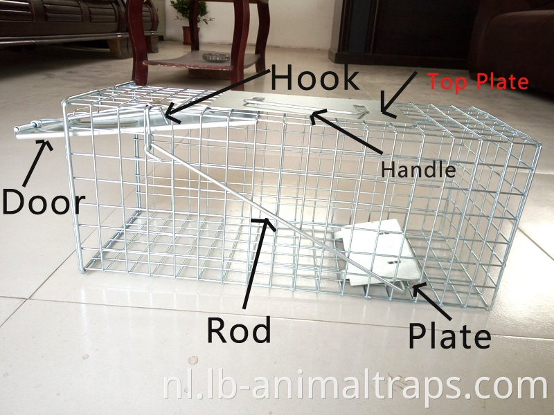 Liebang Hoge kwaliteit Lage prijs Ground Ground Squirrel Trap Cage Squirrel Trapping Tools